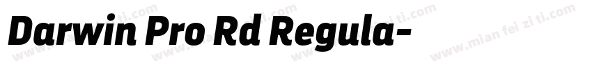 Darwin Pro Rd Regula字体转换